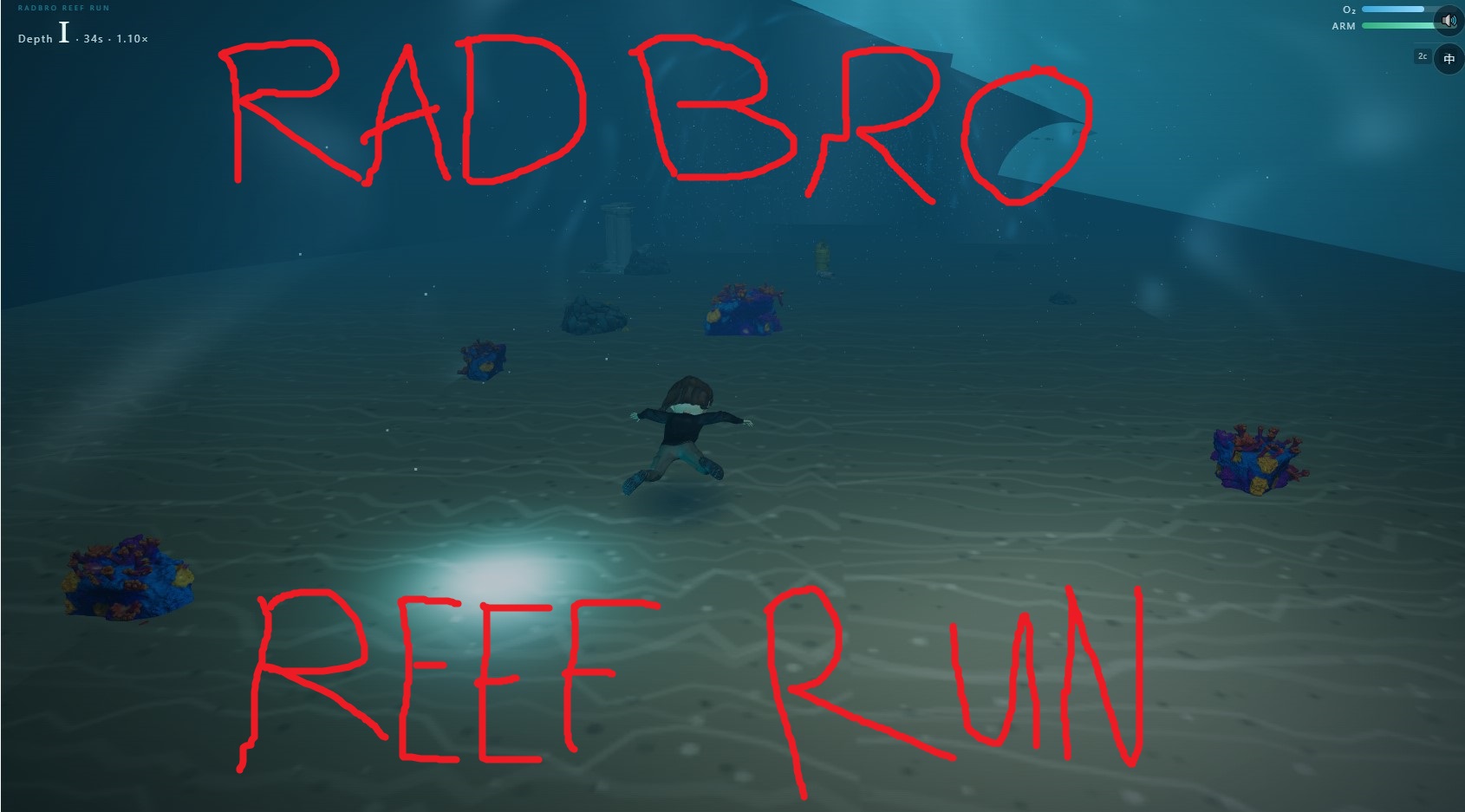 Reef Run poster
